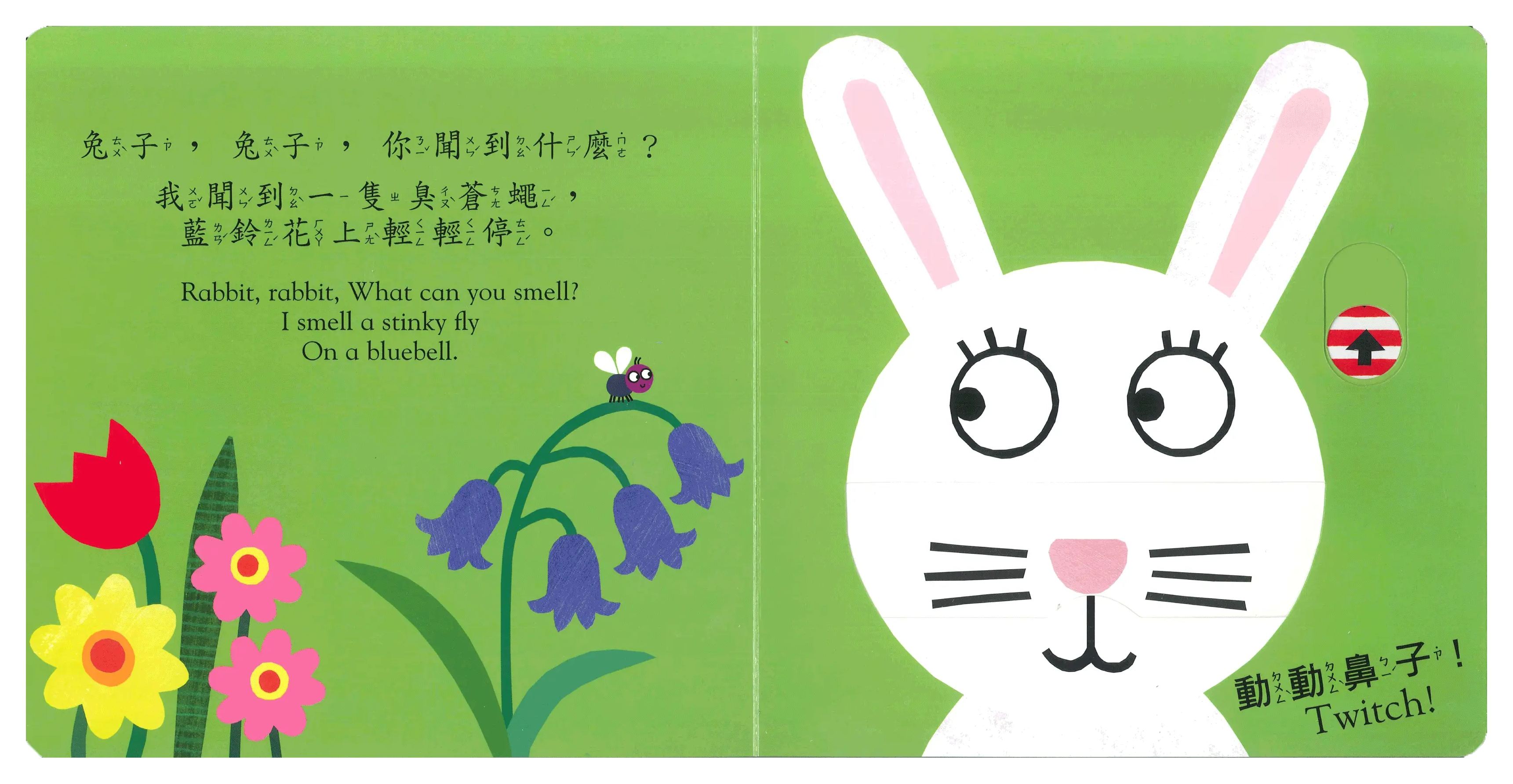 小貓，小貓，你看見什麼？ 圖 7