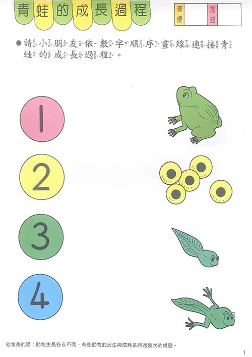 啟蒙認知學習(2)4-6歲 圖 2