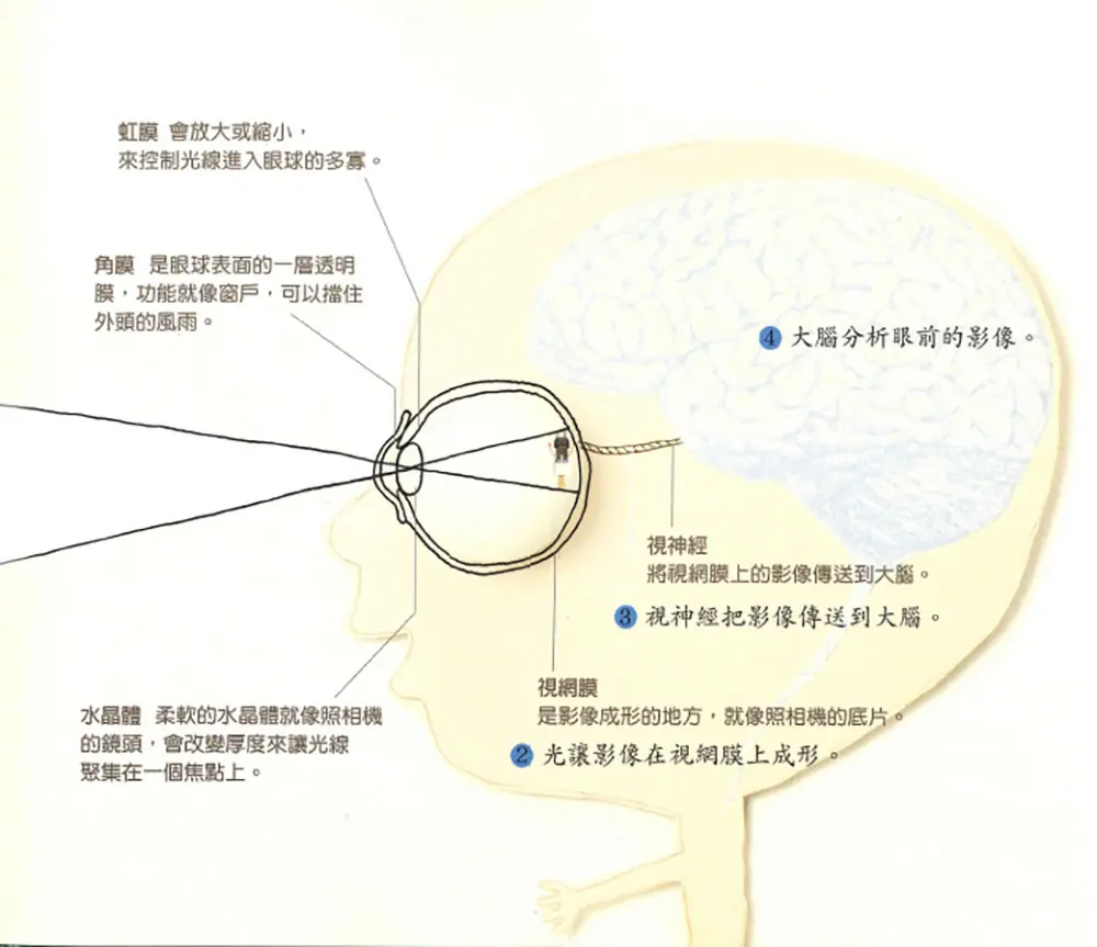 眼睛，眼睛，看得清 圖 2