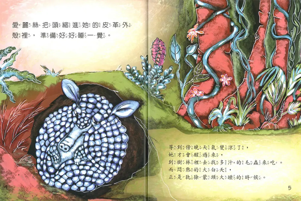 犰狳愛麗絲 圖 2