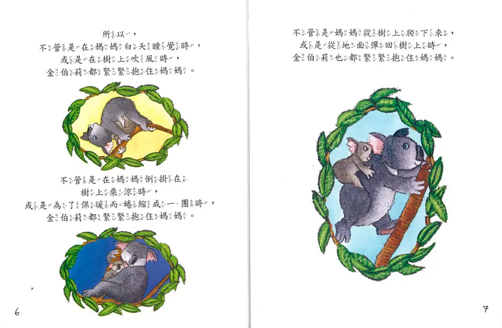 無尾熊金伯莉 圖 2
