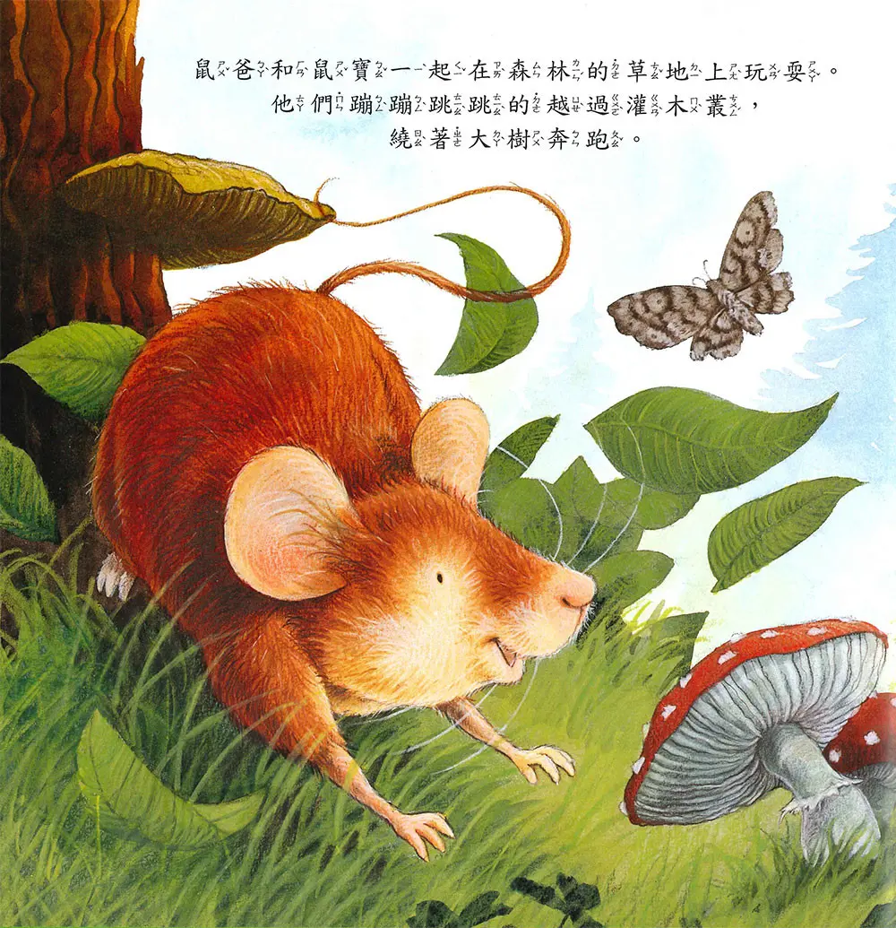 我永遠永遠愛你 圖 3