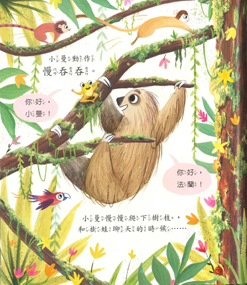 慢吞吞的樹懶 圖 3