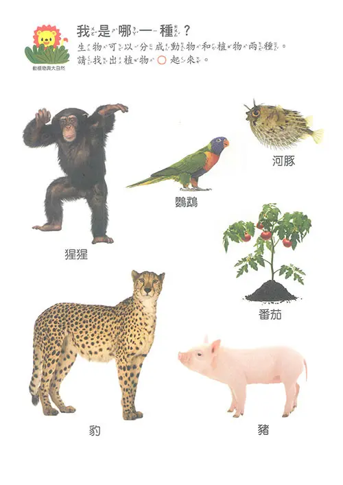自然探索遊戲 圖 4