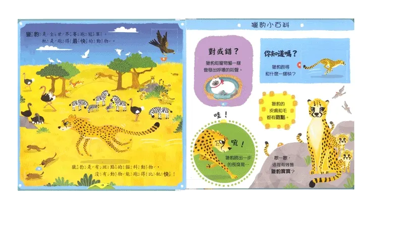 奇妙的動物 圖 4