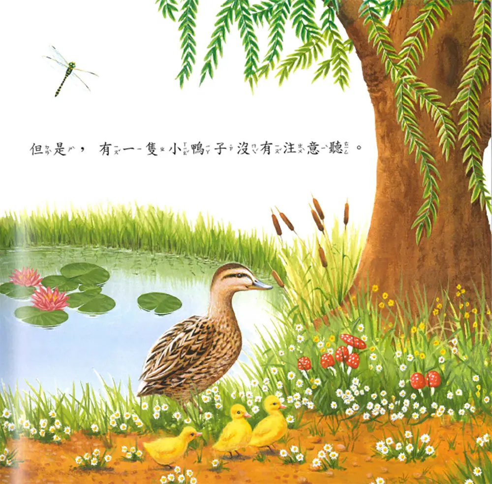 迷路的小鴨子 圖 3