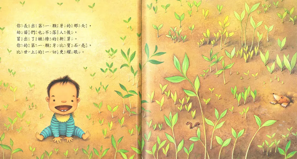 你是奇蹟 圖 3