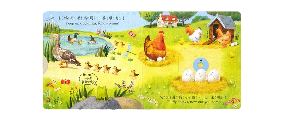 好棒的動物寶寶 圖 4