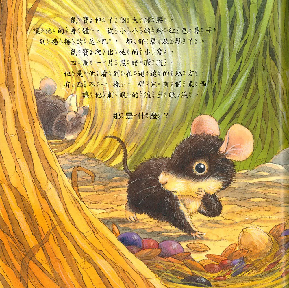 我們一起分享 圖 3