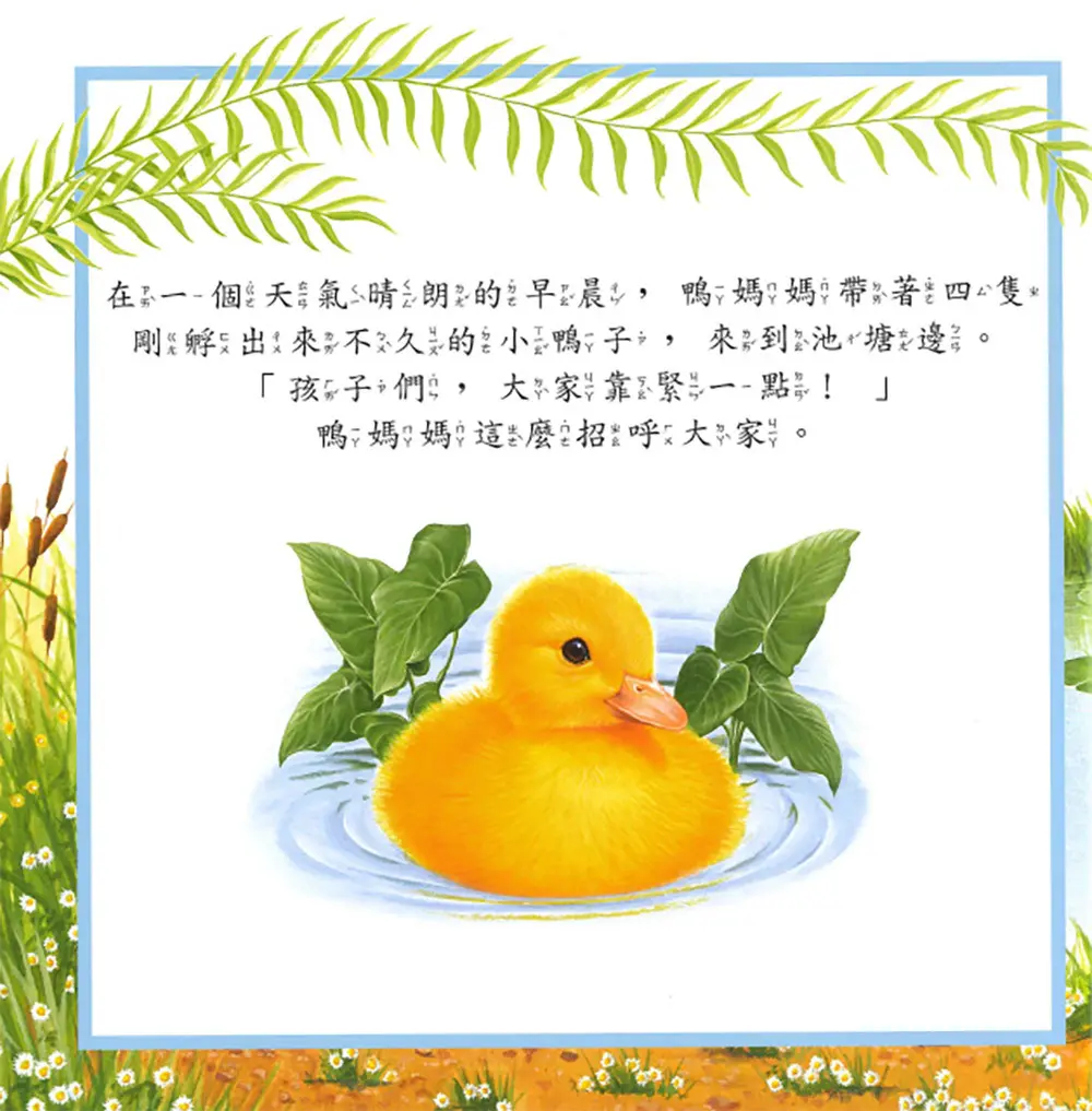 迷路的小鴨子 圖 2
