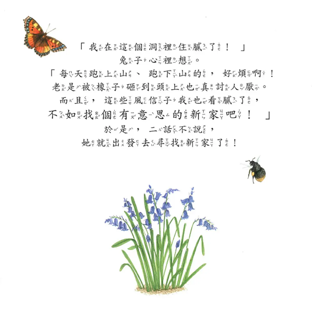 風信子山的兔子 圖 2