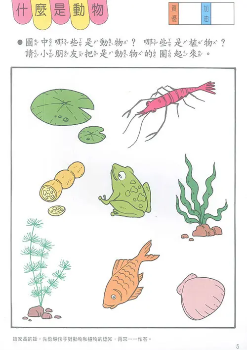 啟蒙認知學習(3)5-7歲 圖 2