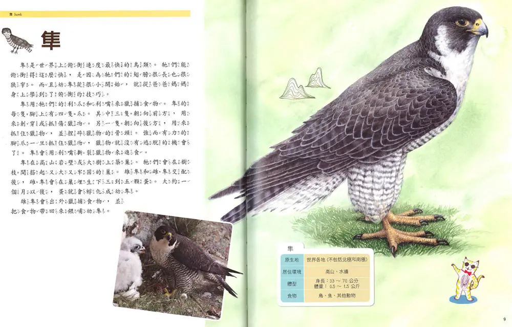 天上飛的動物 圖 3