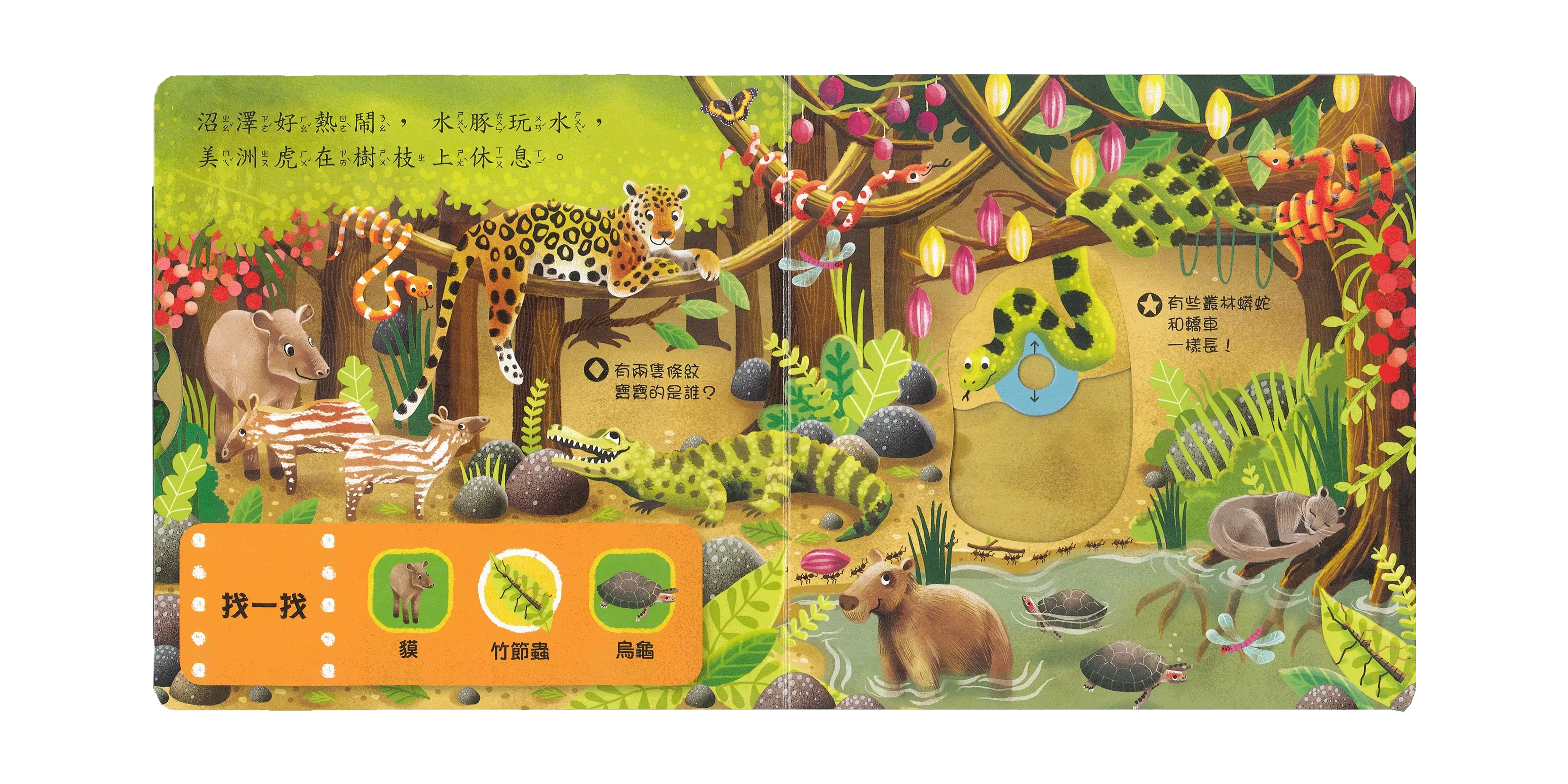 好棒的叢林動物 圖 5