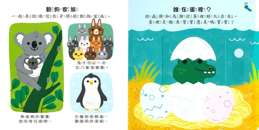 禮物書3-6歲推拉轉 圖 4