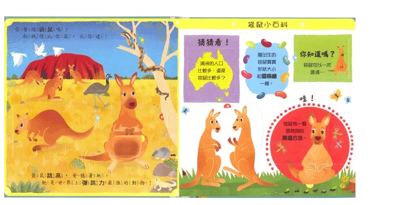 奇妙的動物 圖 5