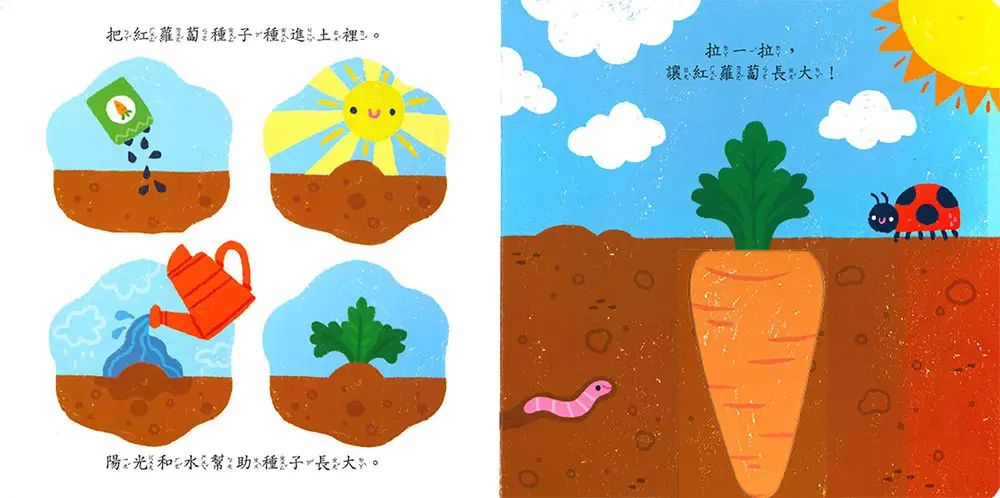 禮物書3-6歲推拉轉 圖 3