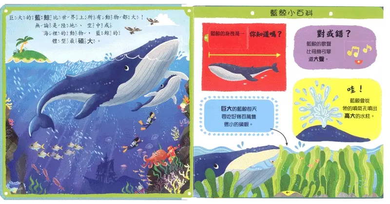 奇妙的動物 圖 3