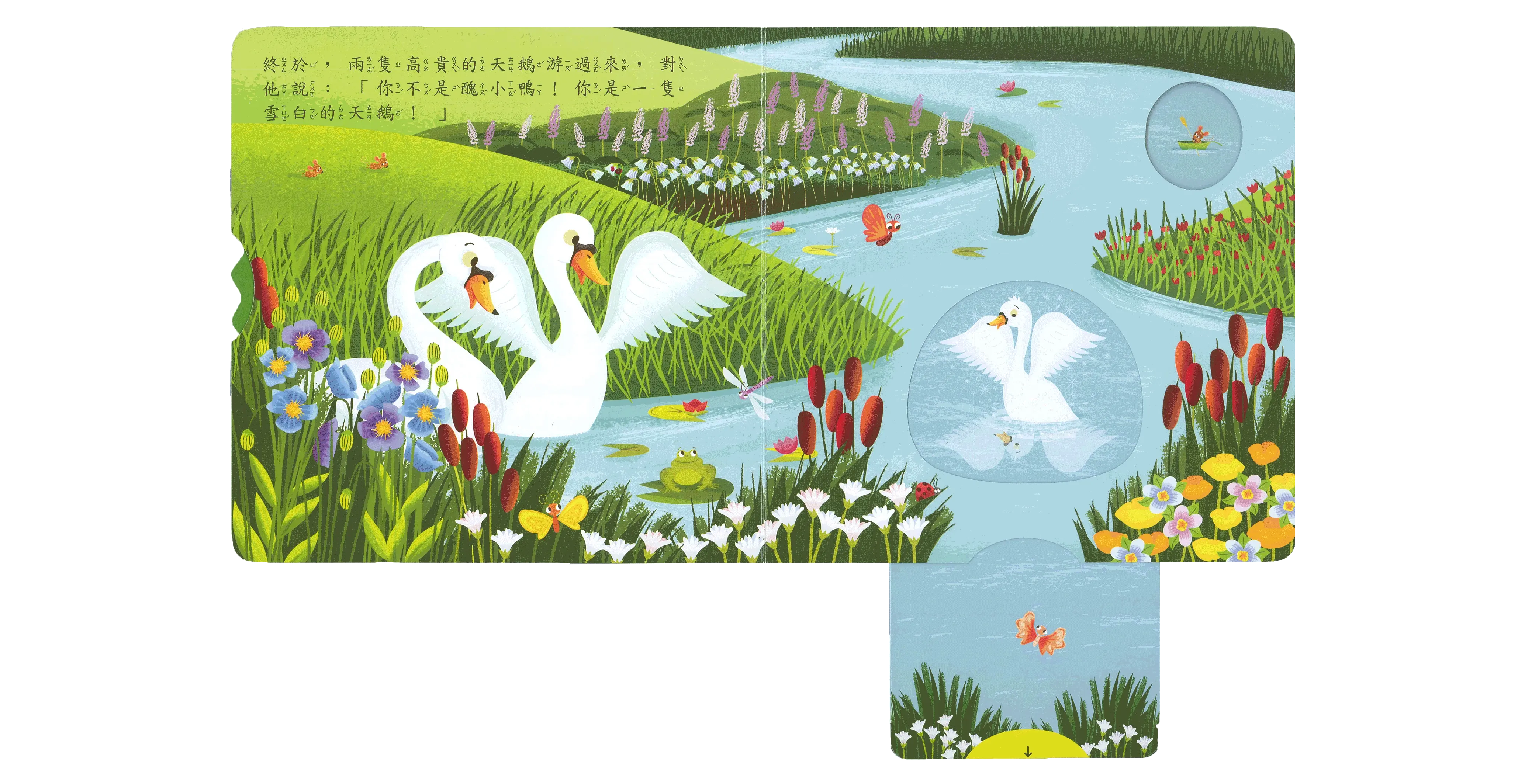 醜小鴨 圖 6
