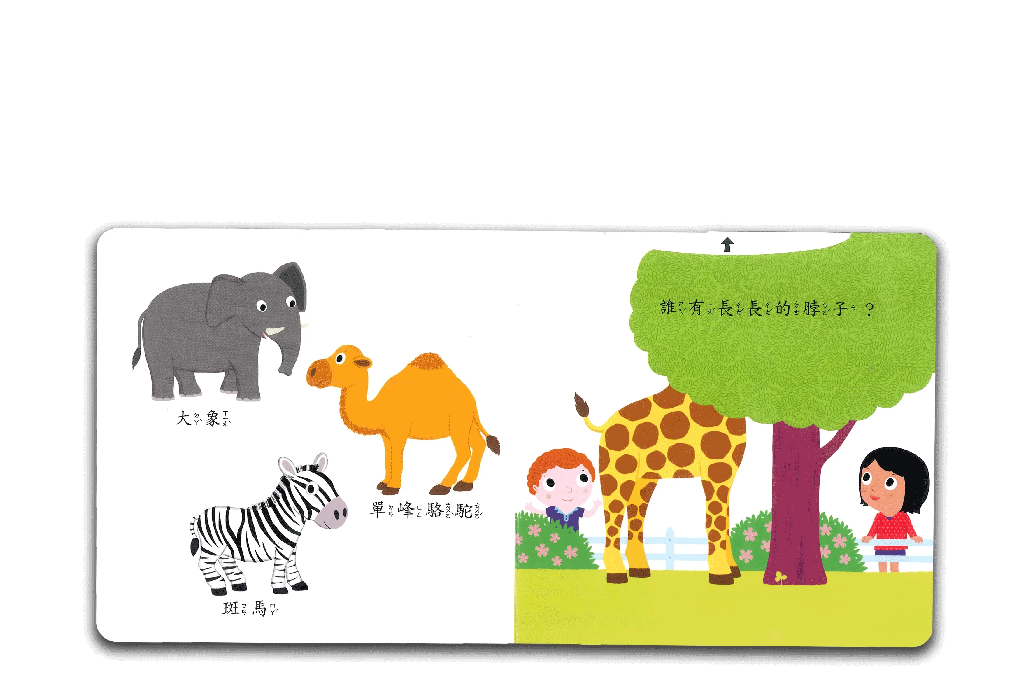 我愛動物園 圖 2
