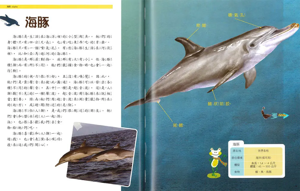 水裡的動物 圖 2