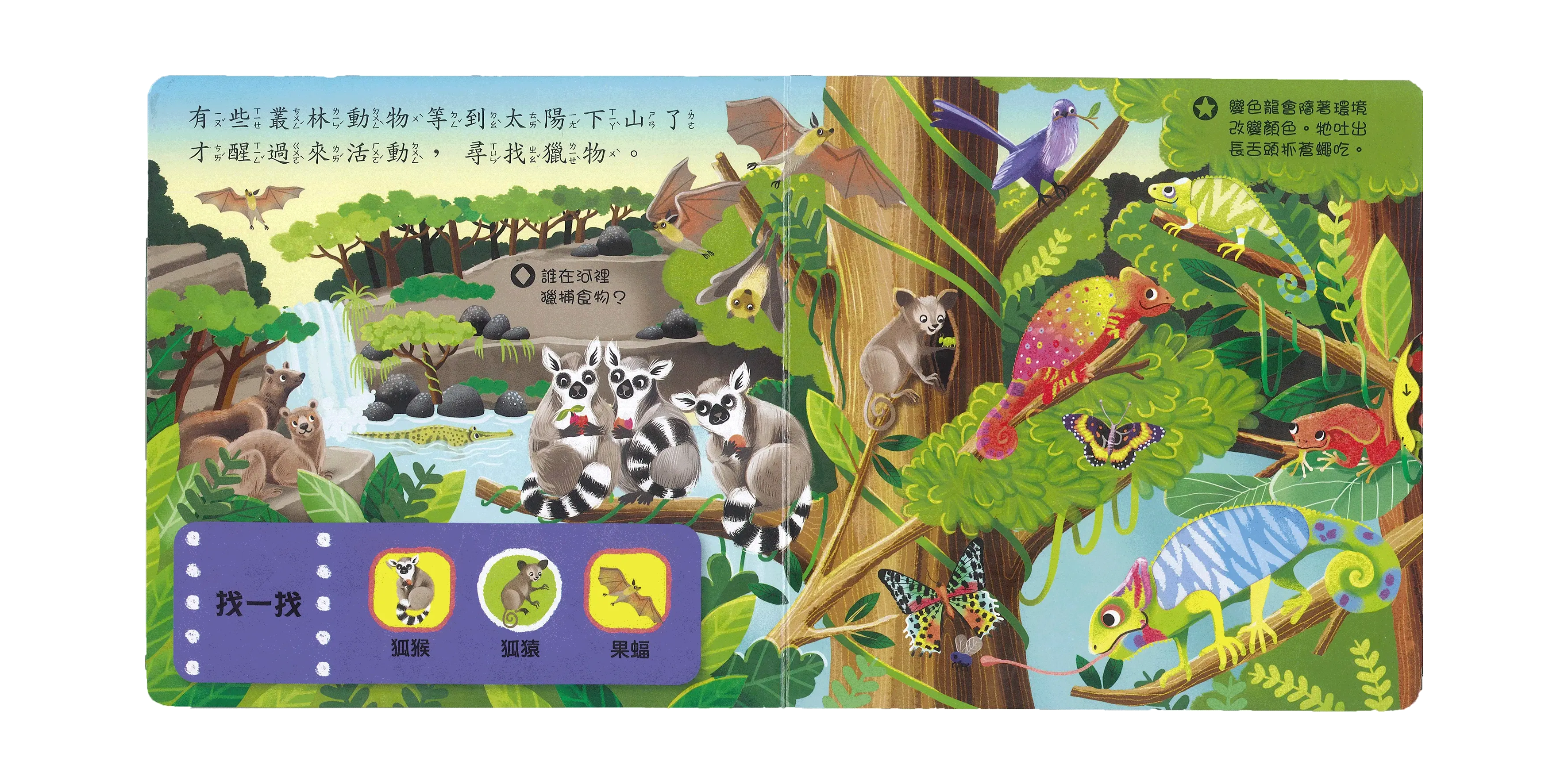 好棒的叢林動物 圖 4