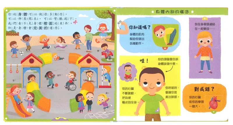 奇妙的身體 圖 4