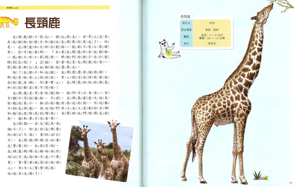 (舊資料匯入重複)陸地上的動物 圖 3