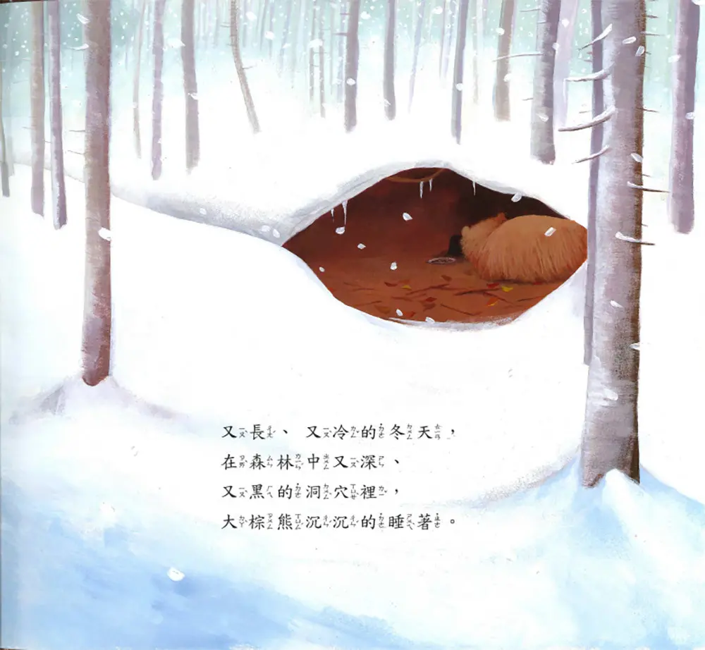 愛打呼的大熊 圖 2