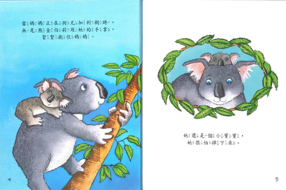 無尾熊金伯莉 圖 3