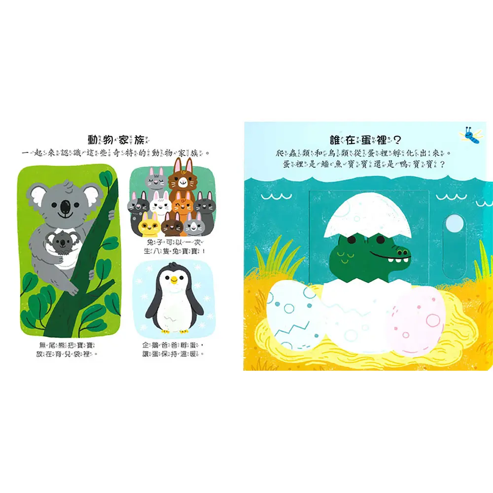 動物世界 圖 5