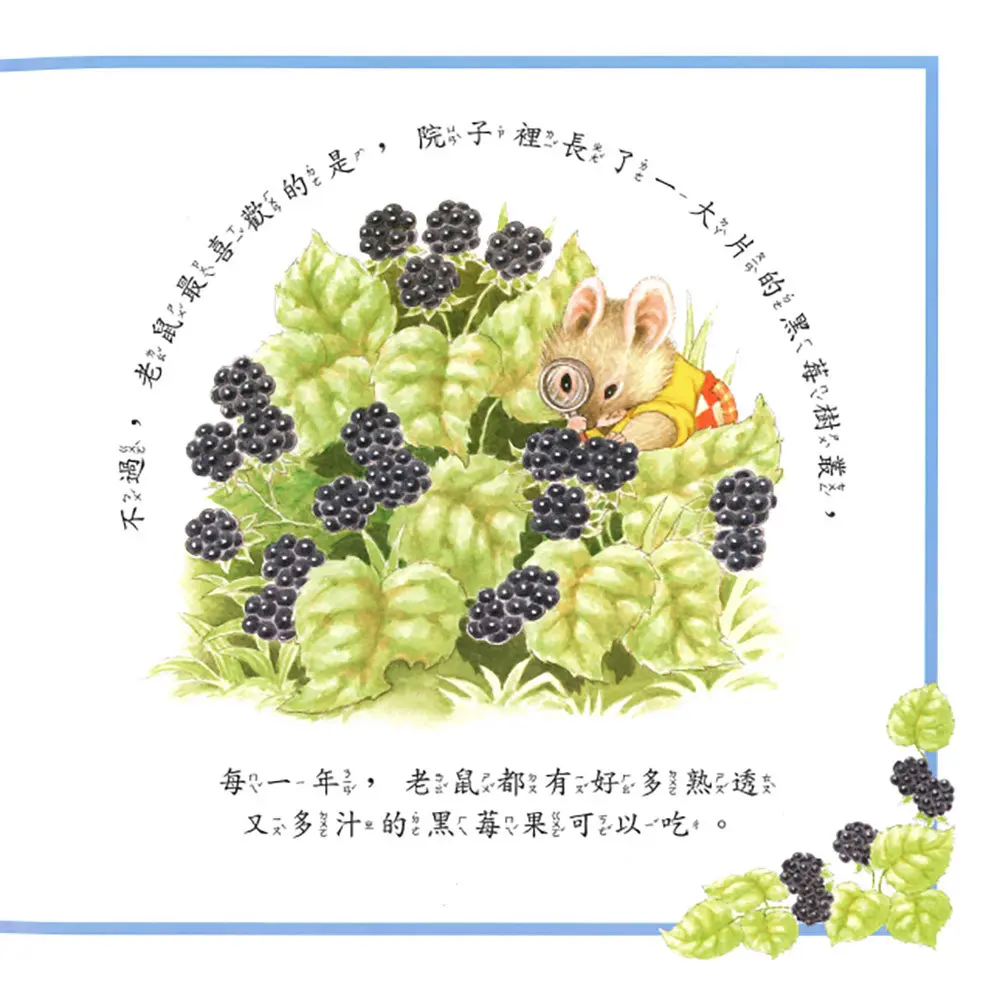 黑莓鼠 圖 3