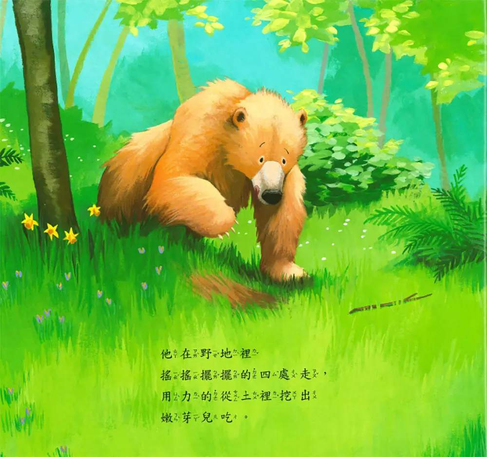 吃不飽的大熊 圖 3