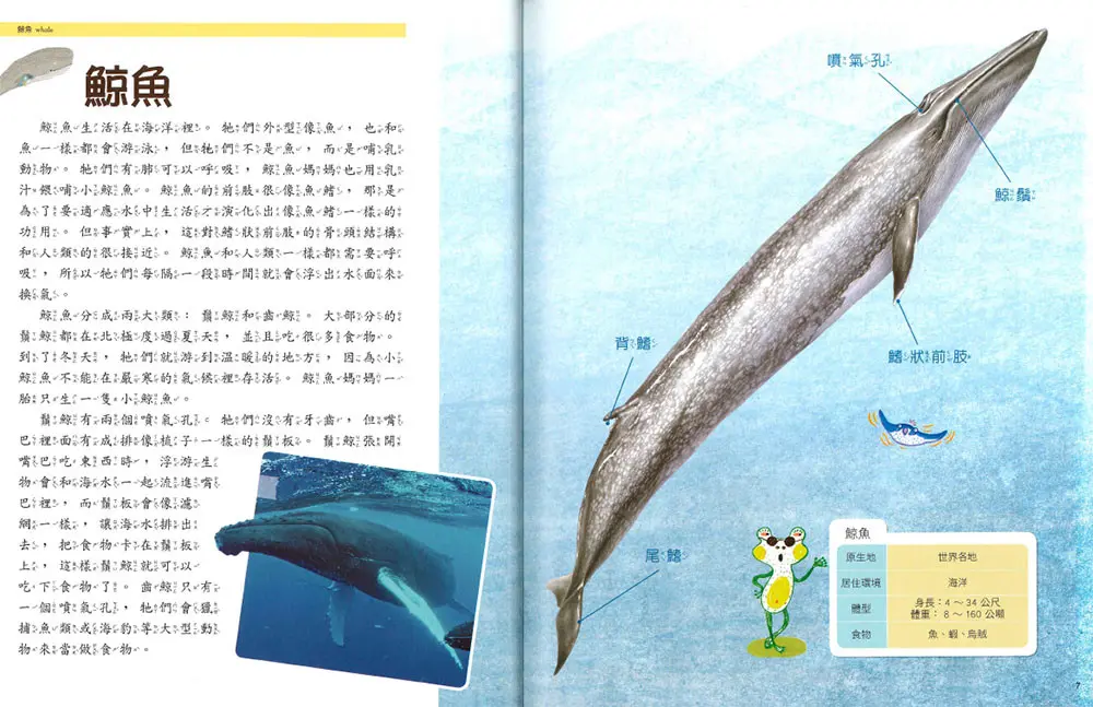 (舊資料匯入重複)水裡的動物 圖 3