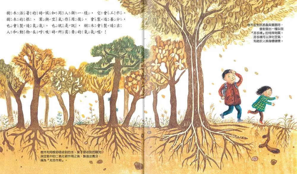 樹木真重要 圖 3