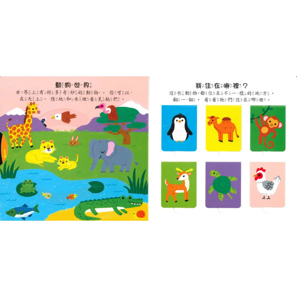 動物世界 圖 3
