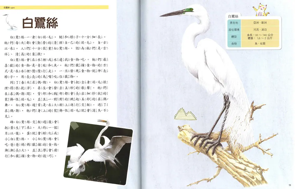 (舊資料匯入重複)天上飛的動物 圖 4