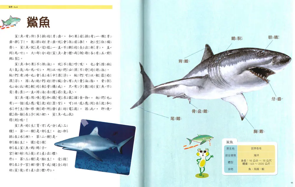 (舊資料匯入重複)水裡的動物 圖 4
