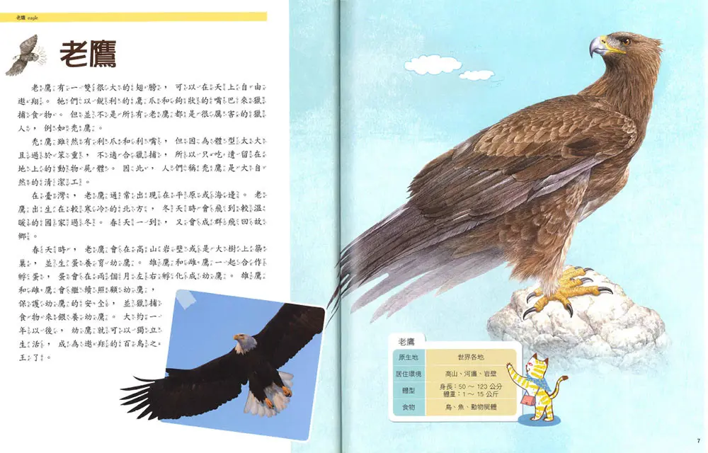 (舊資料匯入重複)天上飛的動物 圖 2